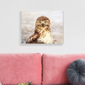 地上の14x11未熟なアカオタカ キャンバスプリント (インサイチュ (リビング))