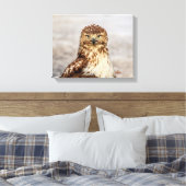 地上の14x11未熟なアカオタカ キャンバスプリント (インサイチュ (寝室))