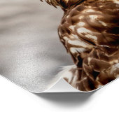 地上の14x11未熟なアカオタカ フォトプリント            (角)