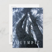 地上オリンピック国立公園からのツリーのトップビュー ポストカード (正面/裏面)