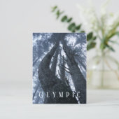 地上オリンピック国立公園からのツリーのトップビュー ポストカード (スタンド正面)