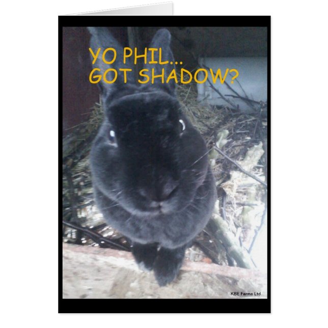 地上ブタ日かイースターカード (正面)