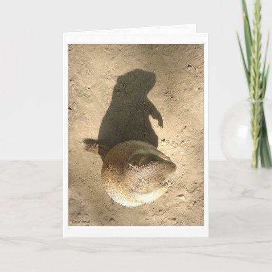 地上ブタ日カード カード (正面)