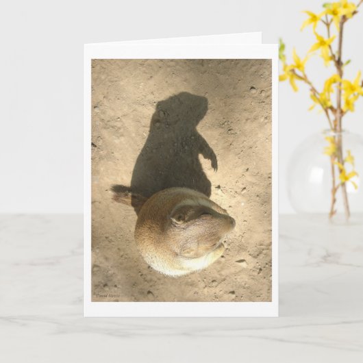 地上ブタ日カード カード (黄色い花)