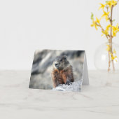 地上ブタ カード (黄色い花)