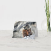 地上ブタ カード (正面)