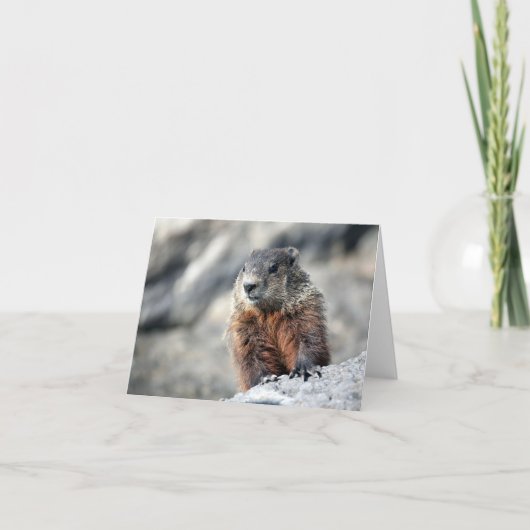 地上ブタ カード (正面)