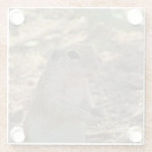 地上リス立ち写真砂漠の動物 ガラスコースター (裏面)