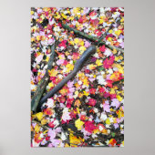 地上紅葉 ポスター (正面)