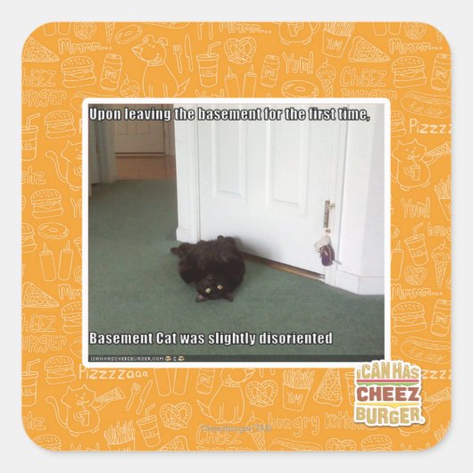 地下の猫、少し方向転換 スクエアシール (正面)