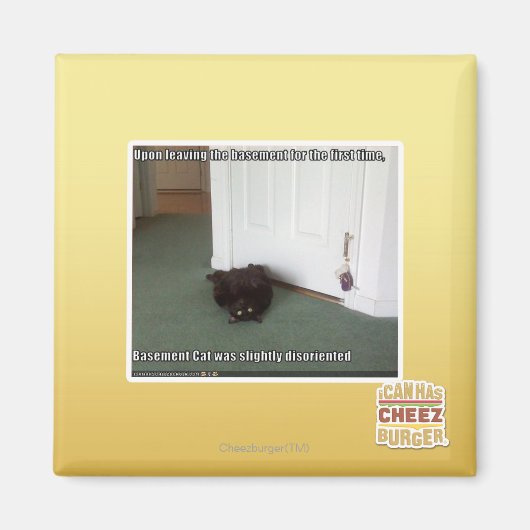 地下の猫、少し方向転換 マグネット (正面)