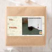 地下の猫、少し方向転換 ラベル (インサイチュ)