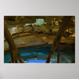 地下春プリント ポスター