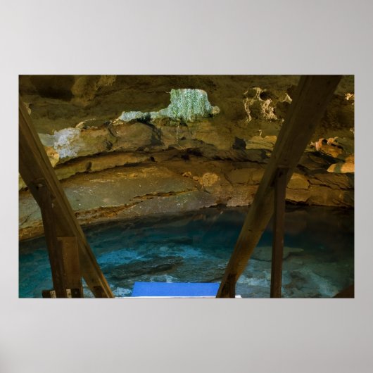 地下春プリント ポスター (正面)