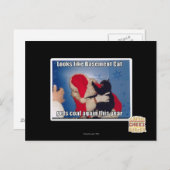 地下猫が石炭を手に入れる ポストカード (正面/裏面)