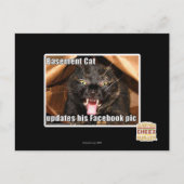 地下猫 ポストカード (正面)