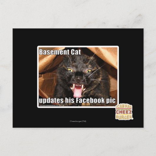 地下猫 ポストカード (正面)