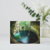 地下自然保護区 ポストカード (スタンド正面)