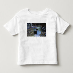 地下鉄スロット渓谷 トドラーTシャツ
