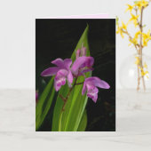 地中国の蘭 カード (黄色い花)