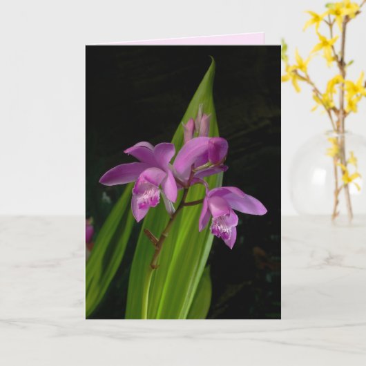 地中国の蘭 カード (黄色い花)