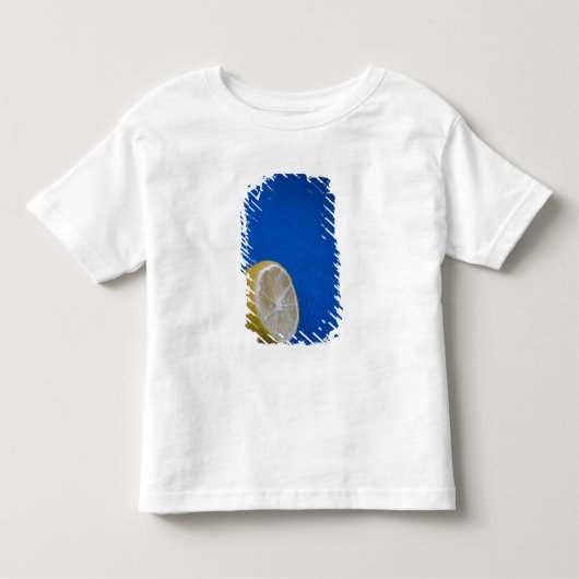 地中海のレモン トドラーTシャツ (正面)
