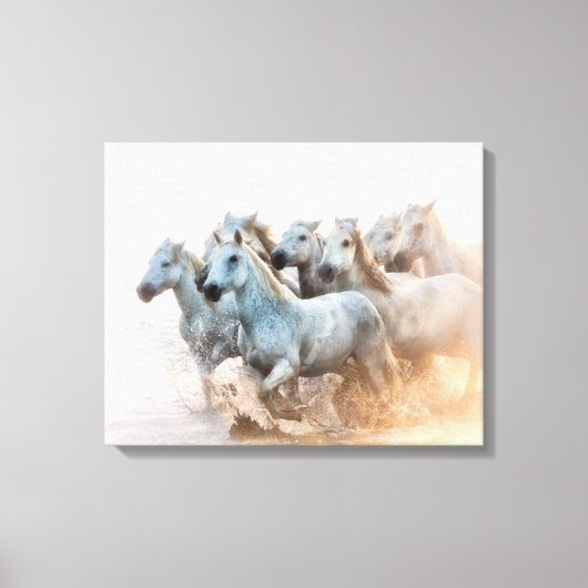 地中海の水アットサンライズ キャンバスプリント (正面)