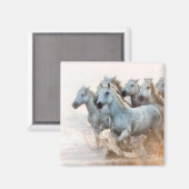 地中海の水アットサンライズ マグネット (正面/裏面)