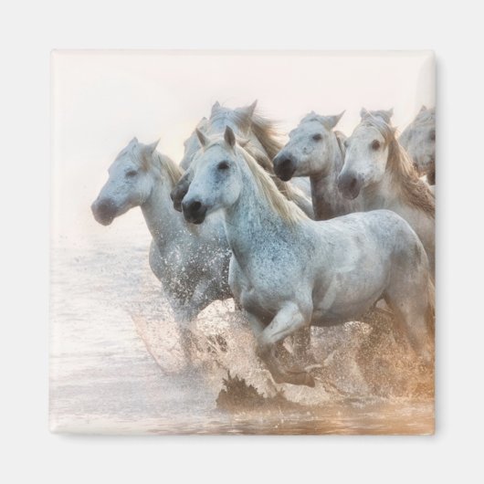 地中海の水アットサンライズ マグネット (正面)