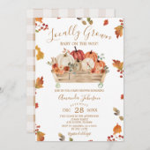 地元で栽培された紅葉カボチャ赤ちゃんシャワー 招待状 (正面/裏面)