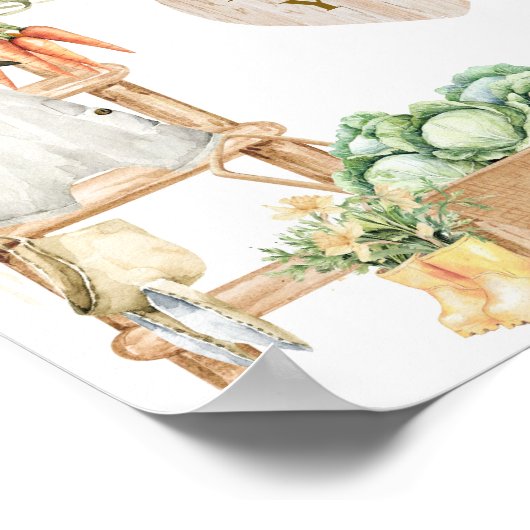 地元で栽培された農家素朴の赤ちゃんシャワーの贈り物 ポスター (角)