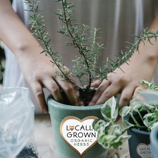 地元で栽培さオーガニックれたハーブ青銅ハート ハートシール