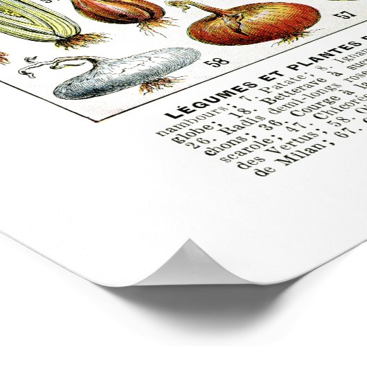 地元で育ったフランスのヴィンテージ野菜表 ポスター (角)