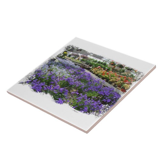 地元の温室が自慢の植物を見せる タイル (側面)