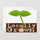 地元栽培 ポストカード (正面/裏面)