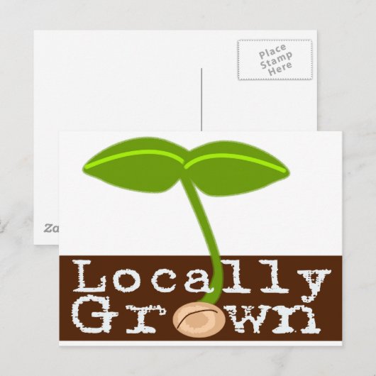 地元栽培 ポストカード (正面/裏面)
