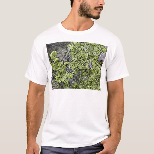 地図の地衣 Tシャツ (正面)