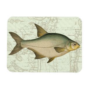 地図の淡水魚 マグネット