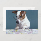 地図を読勉強している眼鏡の犬 ポストカード (正面/裏面)