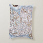 地図: アイルランド1851年 アクセントクッション (裏面(縦))