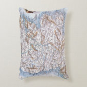 地図: アイルランド1851年 アクセントクッション (正面(垂直))