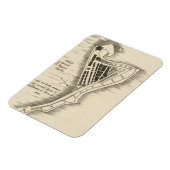 地図：ジャマイカ、1755年 マグネット (左側)