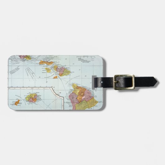 地図: ハワイ1905年 ラゲッジタグ (正面横)