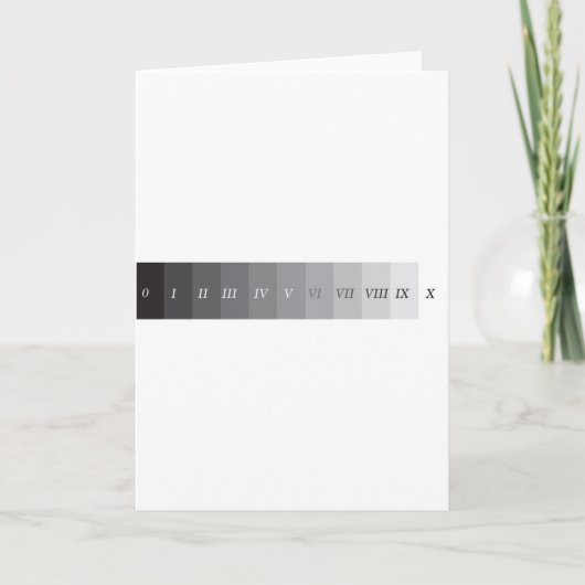 地帯システム カード (正面)