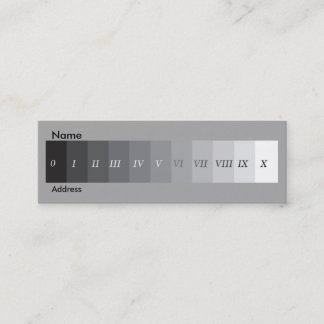 地帯システム スキニー名刺