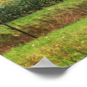 地平線に木が生えるトウモロコシの風景16x20 ポスター (角)