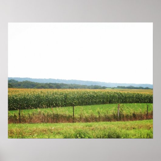 地平線に木が生えるトウモロコシの風景16x20 ポスター (正面)