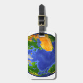 地形データを示す地球の完全。 ラゲッジタグ (正面縦)