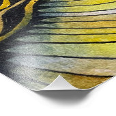 地形 フォトプリント            (角)