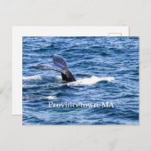 地方郵便はがき ポストカード (正面/裏面)